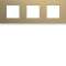 Plaque gallery plastique peint 3 postes horizontale 71mm champagne|Hager-HAGWXP0413
