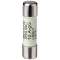 Cartouche fusible cylindrique|Siemens Industries et Infrastructures-SIE3NW6000-1