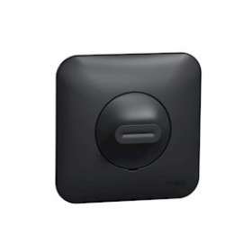 Ovalis - Variateur de lumière universel - 2/3 fils 3W - Anthracite avec plaque|Schneider Electric-SCHS460519