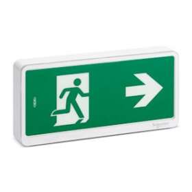 Exiway Light Bloc de secours Evacuation IP42 SATI|Schneider Electric-SCHOVA59110