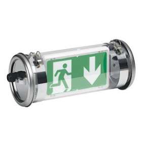 BAES d'évacuation saillie LEDs 45lm 1h plastique/inox IP67 IK07 SATI Adressable|Legrand-LEG062629