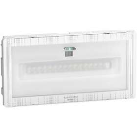 Exiway Smart - Bloc de secours ambiance - report defaut - SATI - IP42|Schneider Electric-SCHOVA59300