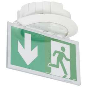 LSC d'évacuation encastré 45lm IP40 IK04 Kickspot tension 110/220V 230V~|Legrand-LEG062924