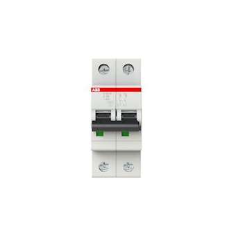 Disjoncteur S202M 2P 40A Courbe C Raccordement à vis - 15KA (2Modules)|ABB-ABB354242