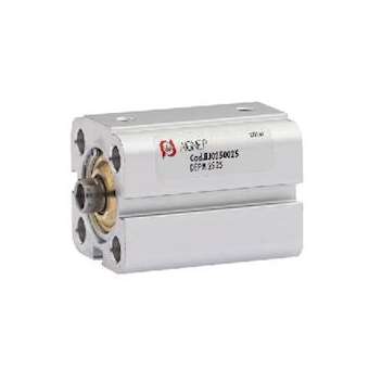 Vérin double effet magnétique tige in d.025 s.0050|Aignep-AIGBF0250050