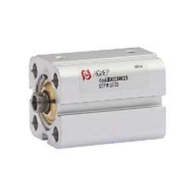 Vérin double effet magnétique tige in d.025 s.0050|Aignep-AIGBF0250050