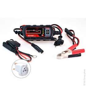 Unité(s) Chargeur plomb/Maintien de charge NX 6-12V/1.2A 100-240V - pinces + oei|Enix energies-NXGCEP9008