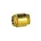 CLAPET LAITON DE RETENUE TOUTES POSITIONS 305 2'