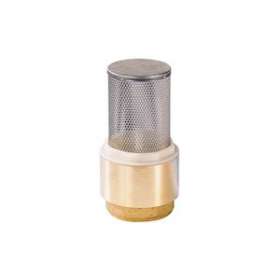 CLAPET CREPINE LAITON 310 2'1/2 CREPINE INOX|Jetly-JTY631008