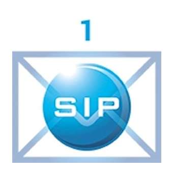 1 extension SIP supplémentaire ( uniquement avec 7 packs ci-dessus)|Castel-CST560.8500