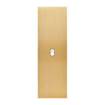 Façade CONFIDENCE LAITON BROSSE ETROITE LONGUE B1|Modelec-MD8101-410M