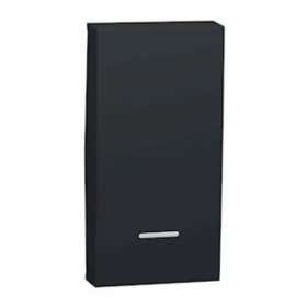 Unica - enjoliveur interrupteur ou bouton-poussoir lumineux - 1 mod - Anthrac|Schneider Electric-SCHNU910054N
