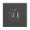 Chargeur 2 USB Type-C 3A 5V 15W Axolute 2 modules 230V - Anthracite|Bticino-TICBTHS4286C2