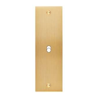 Façade CONFIDENCE LAITON BROSSE ETROITE LONGUE B1 A VIS|Modelec-MD8101-410