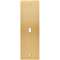 Façade CONFIDENCE LAITON BROSSE ETROITE LONGUE B1 A VIS|Modelec-MD8101-410