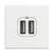 Chargeur 2 USB Type-C 3A 5V 15W Axolute 2 modules 230V - White