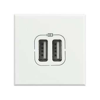 Chargeur 2 USB Type-A + Type-C 3A 5V 15W Axolute 2 modules 230V - White|Bticino-TICBTHD4287C2