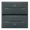 Double-poussoir interbloqué pour volets roulants Axolute - Anthracite 2 modules|Bticino-TICHS4037-2