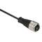 OsiSense XZ - connecteur pré-câblé - droit femelle - 7/8p16 UN - 3 broches - 2m