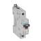 Disjoncteur DX³ 25kA arrivée haute/départ bas vis 1P 6A - courbe Z - 1 mod