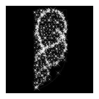 BRILLANT - Motif H2,5mxL1m - LED blanc pétillant - 230V|Festilight-FEH43229LED-P0
