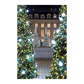 Guirlande Moon 230V - 10M - 6 ampoules Blanc chaud 80mm|Festilight-FEH50359-W9