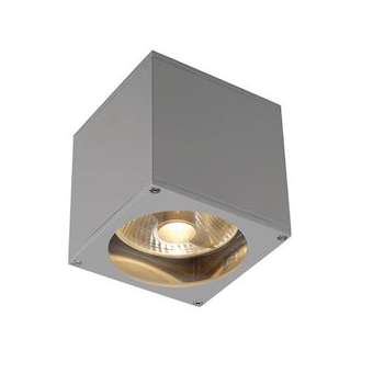 BIG THEO, applique extérieure, gris, GU10/QPAR111, 75W max, IP44|SLV-DC5229564
