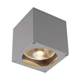 BIG THEO, applique extérieure, gris, GU10/QPAR111, 75W max, IP44|SLV-DC5229564