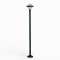 Dallas N° 9 fume Vert Anglais 019|Roger Pradier-PRR119030019