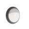 Voila Asymétrique Noir Module LED 2600 3000K + Détecteur avec visserie standard