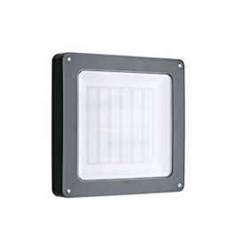 Effice escalier gris 4000K + Détecteur Pro + Préavis|Securlite-LON20121413