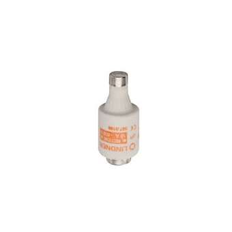 Fusible bouteille taille DII - gR - 16A - 500VAC / 440VDC|Mersen ( ex ferraz shawmut )-FEZT215090