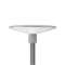 TownGuide Cône Plat (Performance) BDP100 LED30/740 II DW PCF GR 62P|Philips Signify-PHI909750