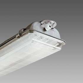 ETERNA 989 Fl 2X36 Inox Cel-F|Disano-ZON16236208