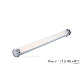 PAS133 22H840 POME 113 SA MR BRS|Sammode-SMM22605569