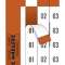 Carte SES-Markers E92B C1 BLANC