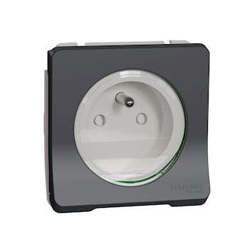 Mureva Styl - Prise de courant 2P+T à vis - composable - IP55 - IK08 - gris|Schneider Electric-SCHMUR38030