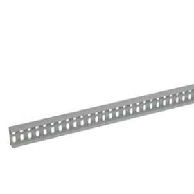 ISIPLAST rail télex 50x17 2 M PVC|Legrand Cable Management-CAF637994