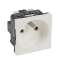 Prise de courant 2P+T Mosaic 2 modules connexion bornes automatiques - blanc