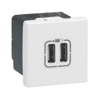 Chargeur 2 USB Type-A 2,4A 5V 12W Mosaic 2 modules 230V - blanc|Legrand-LEG077594