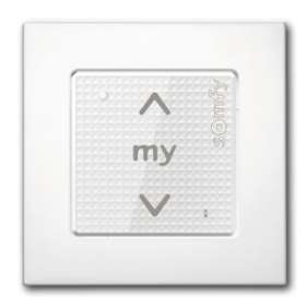 Commande smoove sensitif rts - blanc laqué|Somfy-SYF1800327