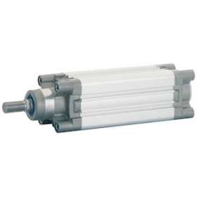 Vérin double effet magnétique, amort. d.040 s.0320|Aignep-AIGXH0400320