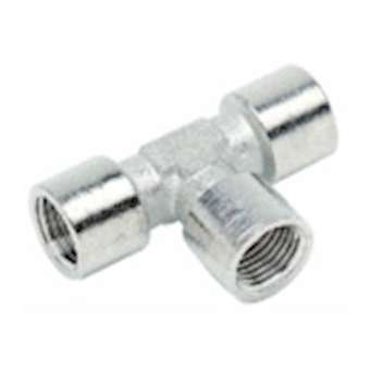 Té égal femelle 1/4|Aignep-AIG040001-4