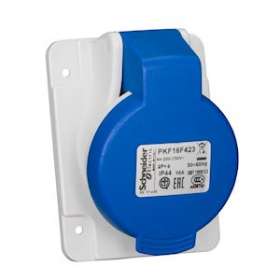 PratiKa - socle de prise inclinée -16A - 2P+T - 200-250 V CA- IP44 - à vis|Schneider Electric-SCHPKF16F423