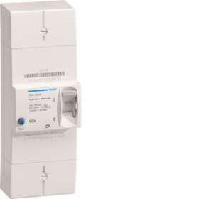 Disjoncteur de branchement différentiel 2P 60A 500mA selectif|Hager-HAGHDA260SF