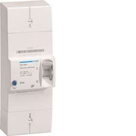 Disjoncteur de branchement différentiel 2P 60A 500mA instantané|Hager-HAGHDA260F