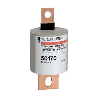 Vigilohm - auxiliaire Cartouche Cardew - type 440V|Schneider Electric-SCH50171