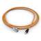 Lien de consolidation mâle/femelle RJ45 class EA 10G LSOH orange, 12 m
