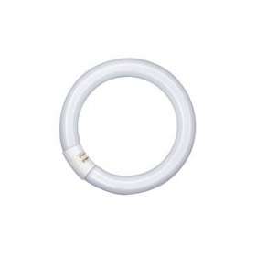 OSRAM LUMILUX T9 CIRCULAIRE L 22W/840 C G10Q|Ledvance-OSR581082