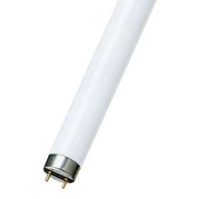 T8 15W G13 26X437 Uv Actinique/Blacklight|Bailey-BIYFT015BL